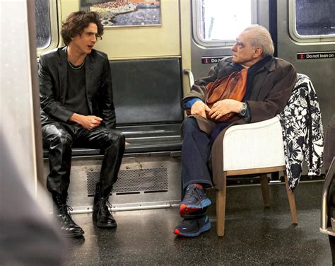 timothée chalamet martin scorsese